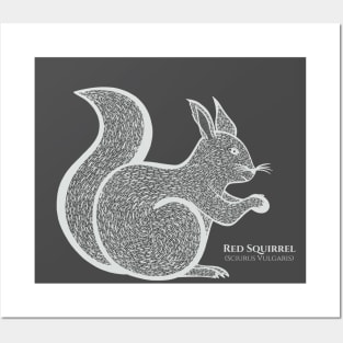 Red Squirrel with Common and Latin Names - animal lovers design Posters and Art